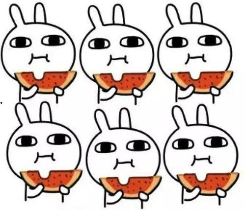 娱乐吃瓜喵不务正业版,揭秘明星不务正业背后的秘密